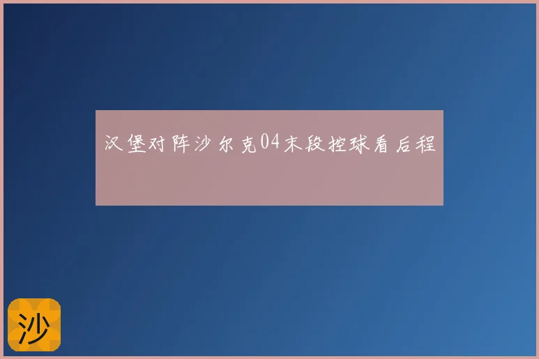 汉堡对阵沙尔克04末段控球看后程